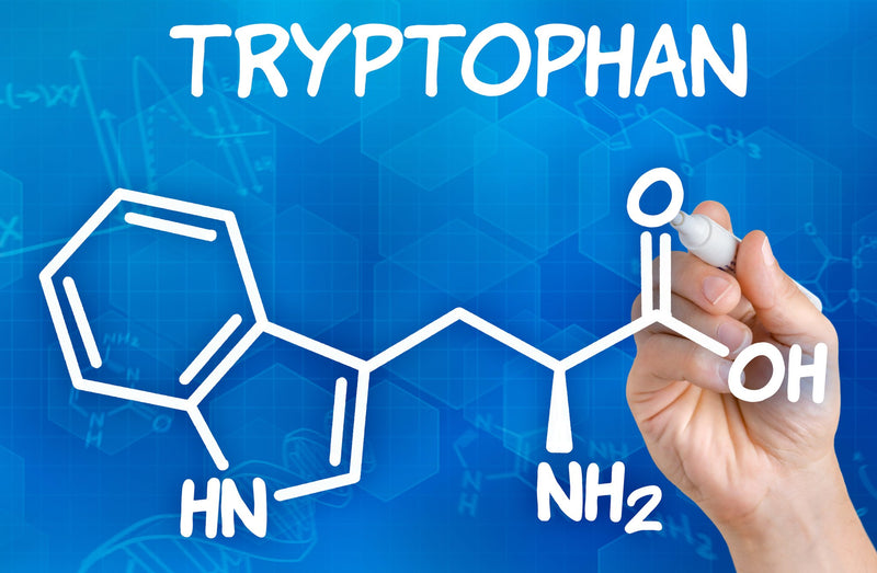 What Is Tryptophan and its many health benefits? - Natty Superstore