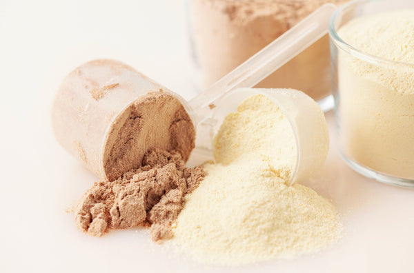 Whey Isolate, Whey Concentrate, and Casein Protein - Natty Superstore
