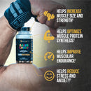 Gains Candy Turkesterone by Alpha Lion - Natty Superstore