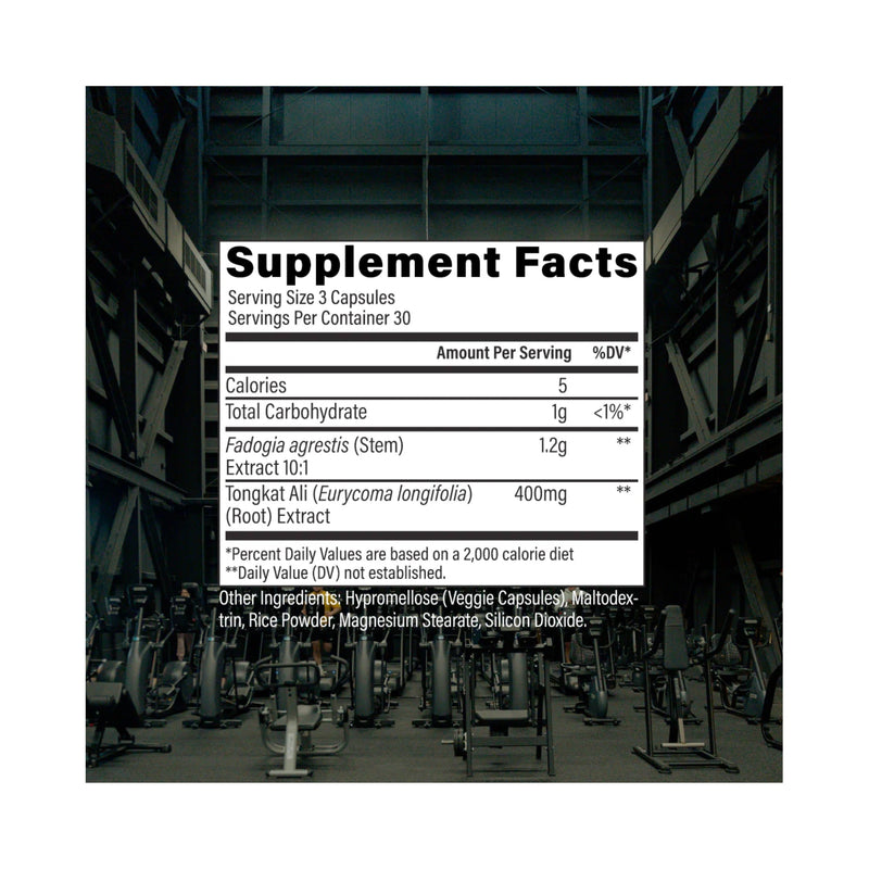 Signal by RAW Nutrition - Natty Superstore