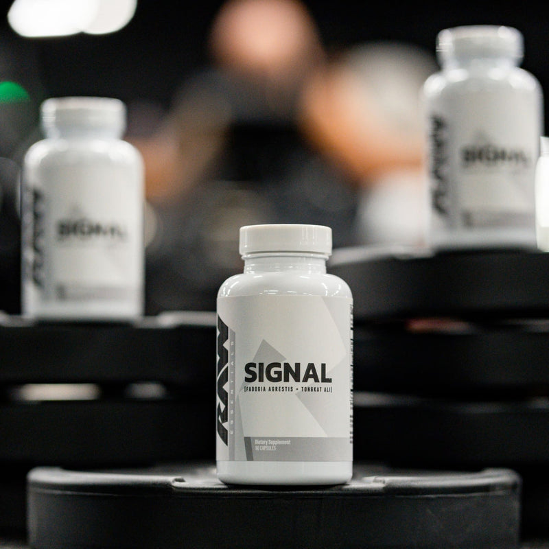 Signal by RAW Nutrition - Natty Superstore