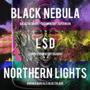 DVST8 of the Union - Natty Superstore