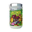 GLAXON SPECIMEN MAX - Natty Superstore