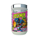 GLAXON SPECIMEN MAX - Natty Superstore